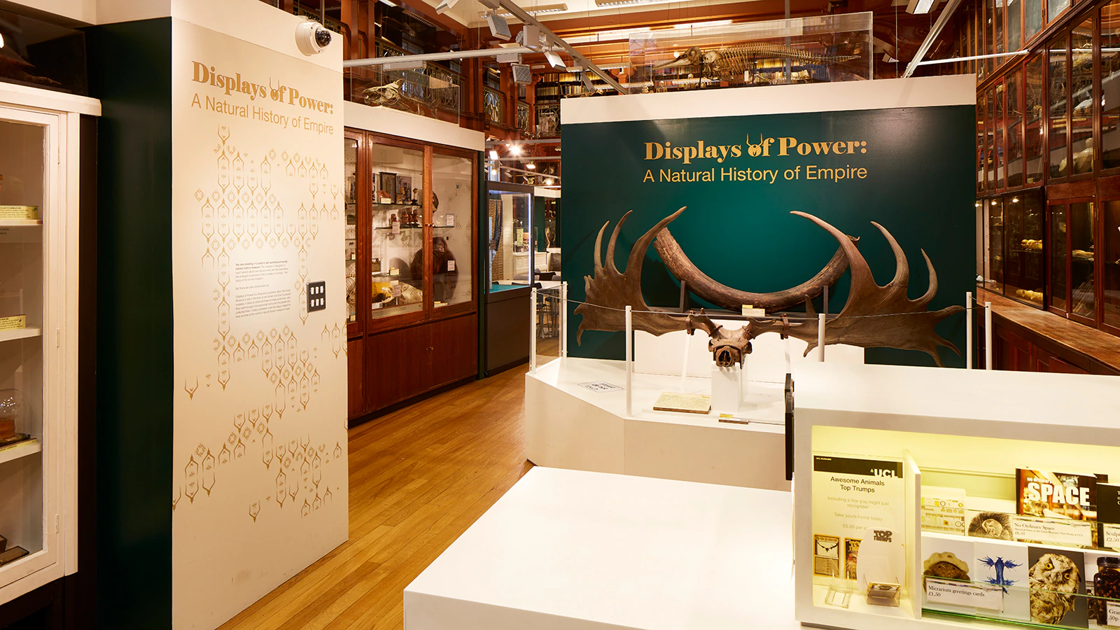 The interior of Grant Museum of Zoology