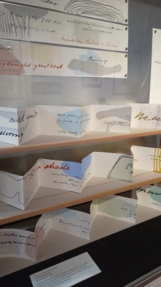 Accordion-style books with abstract line drawings and handwritten notes are displayed on wooden shelves
