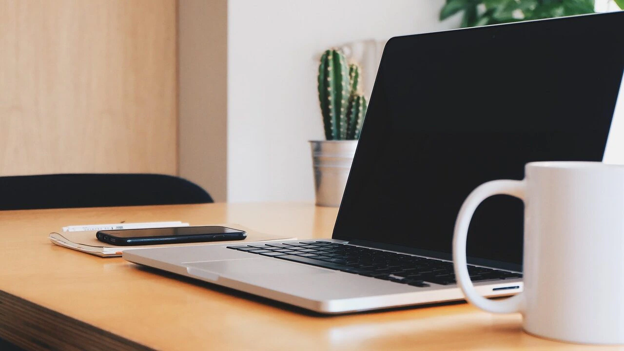 A laptop, smartphone, notebook, and white mug are on a wooden desk. A cactus in a pot and a leafy plant are in the background, suggesting a modern, tidy workspace.