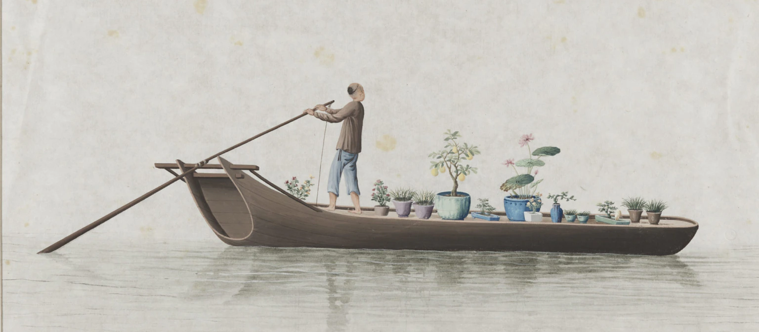 A person stands on a wooden boat, rowing across calm water. The boat is filled with various potted plants and flowers in colorful pots. The background is light and minimal.