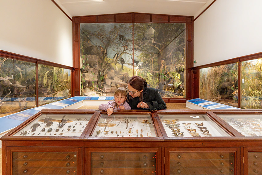 A woman and a young girl look at insect and butterfly specimens displayed in a glass case at a natural history museum, with diorama exhibits and wildlife scenes in the background.