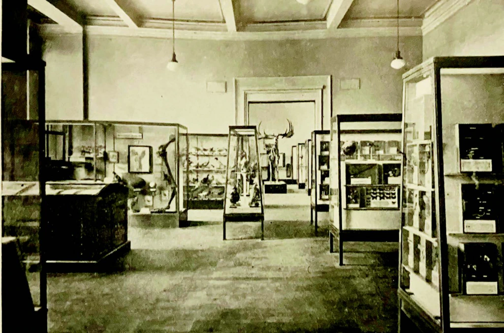 Black-and-white photo of a museum gallery with glass display cases showcasing artifacts and specimens. The room has high ceilings, hanging light fixtures, and a large doorway at the back, through which animal horns are visible.