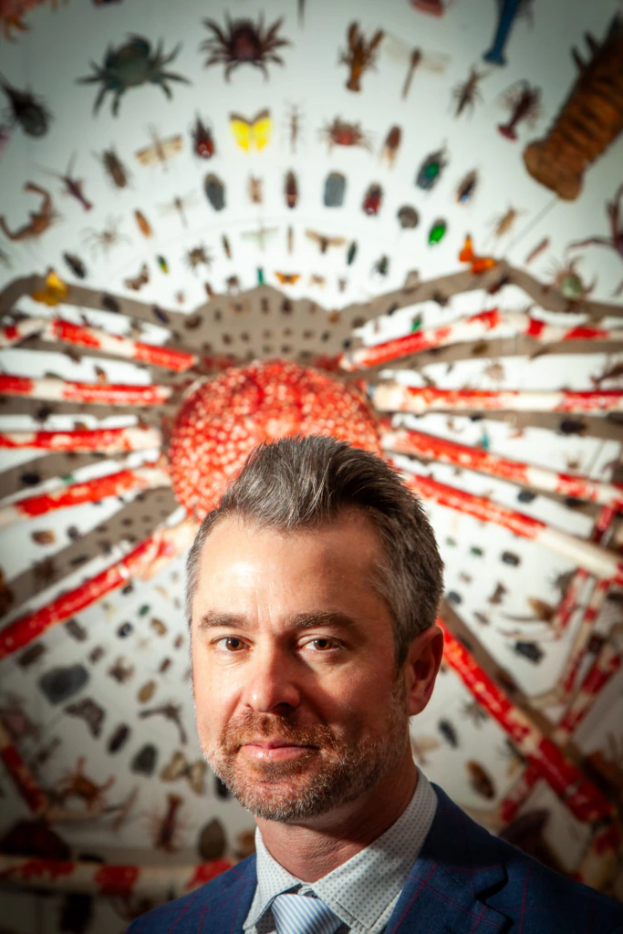 A man with gray hair and a beard stands in front of a bright, intricate display of various colorful insects and small creatures arranged in a radial pattern on a white background.