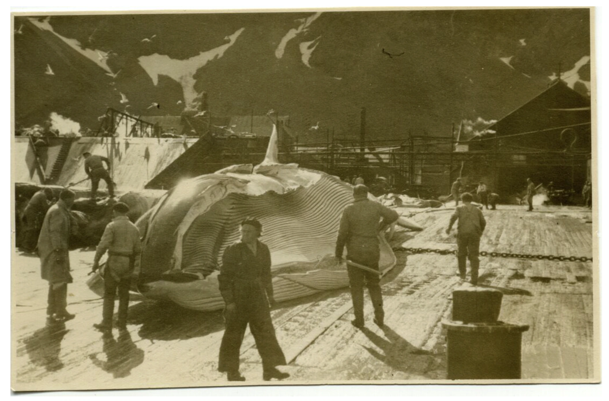 Several workers stand around the large, partly dissected mouth of a whale on a snowy whaling station, with mountains and industrial buildings visible in the background.