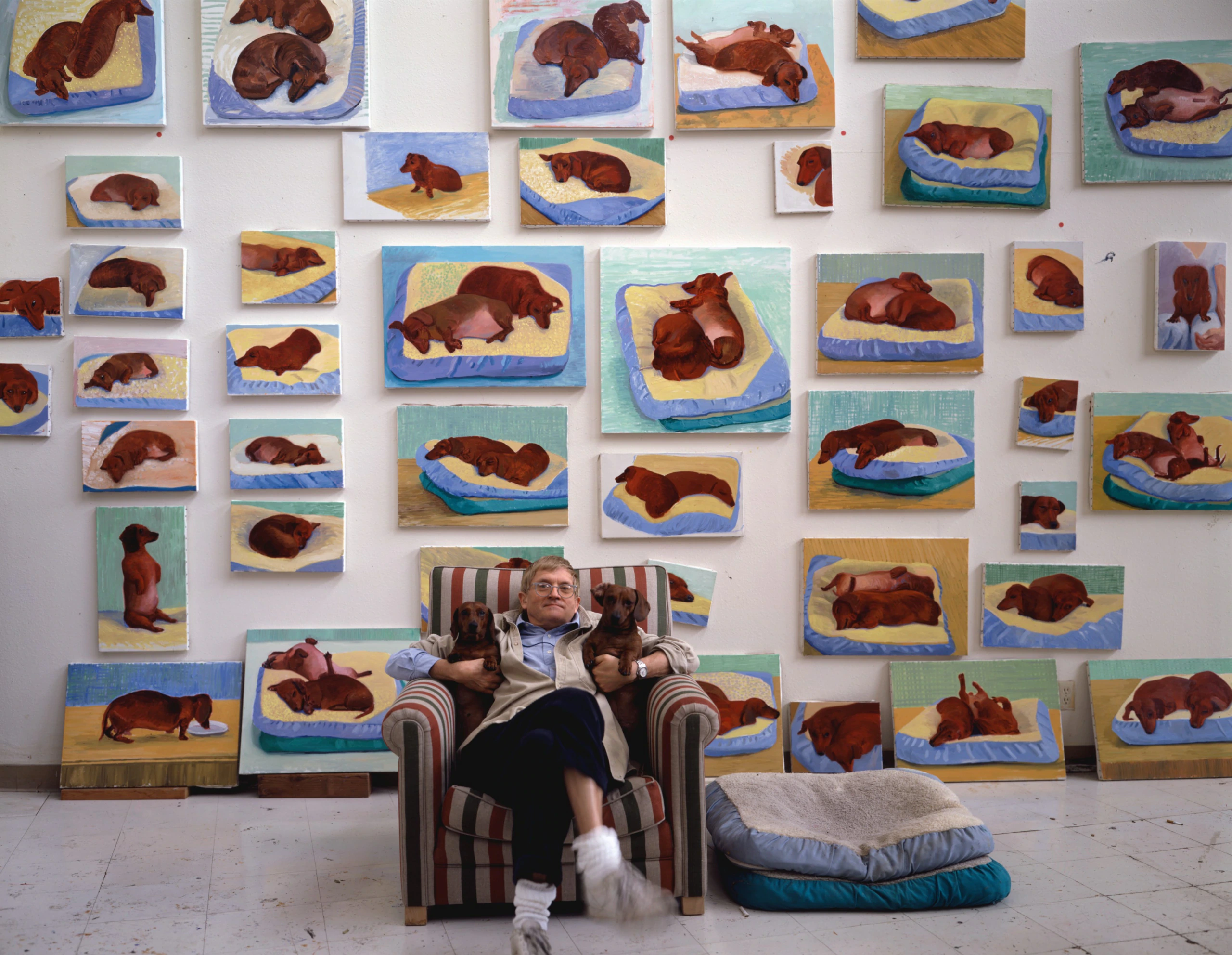 An older person sits in an armchair holding two dachshunds, surrounded by many paintings of dachshunds in various resting poses, all displayed on a wall behind them.