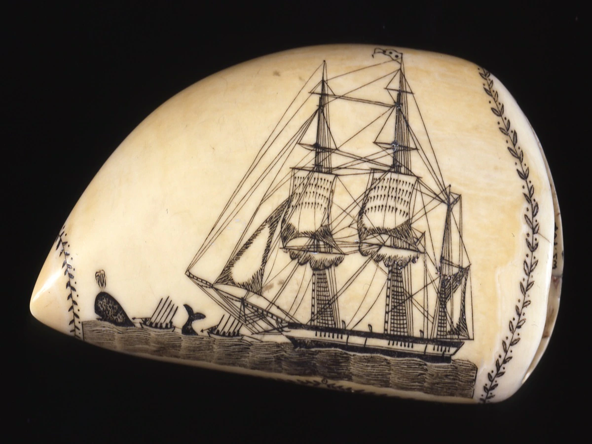 A scrimshaw carving on a whale tooth depicts a sailing ship at sea, a whaling boat with rowers, and a whale in the water, with decorative vines along the edge.