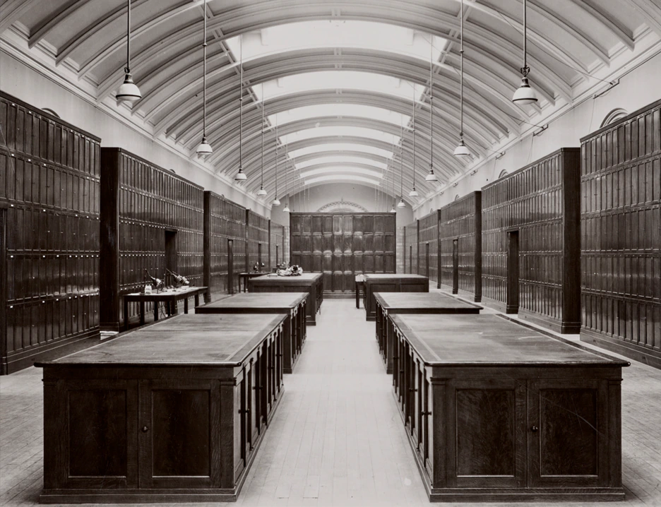 A large, empty, old-fashioned library reading room with wooden tables, tall bookshelves lining the walls, a high arched ceiling, and hanging lights. No people are present in the room.