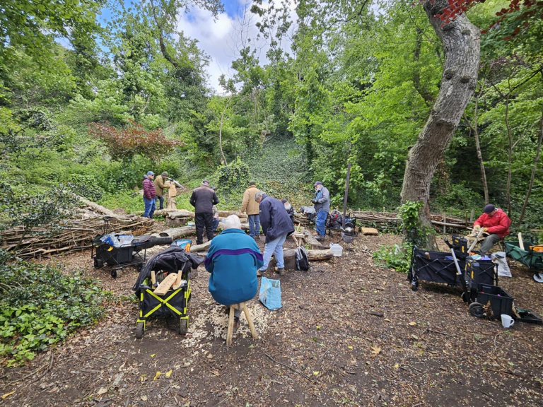 Men socialise outdoors in the woods at the Bailey Hill Men's Shed